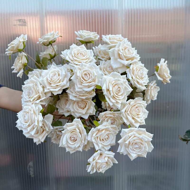Artificial Spray Roses Manufacturer - Factory Wholesale Cheap 3 Heads Real Touch Silk White