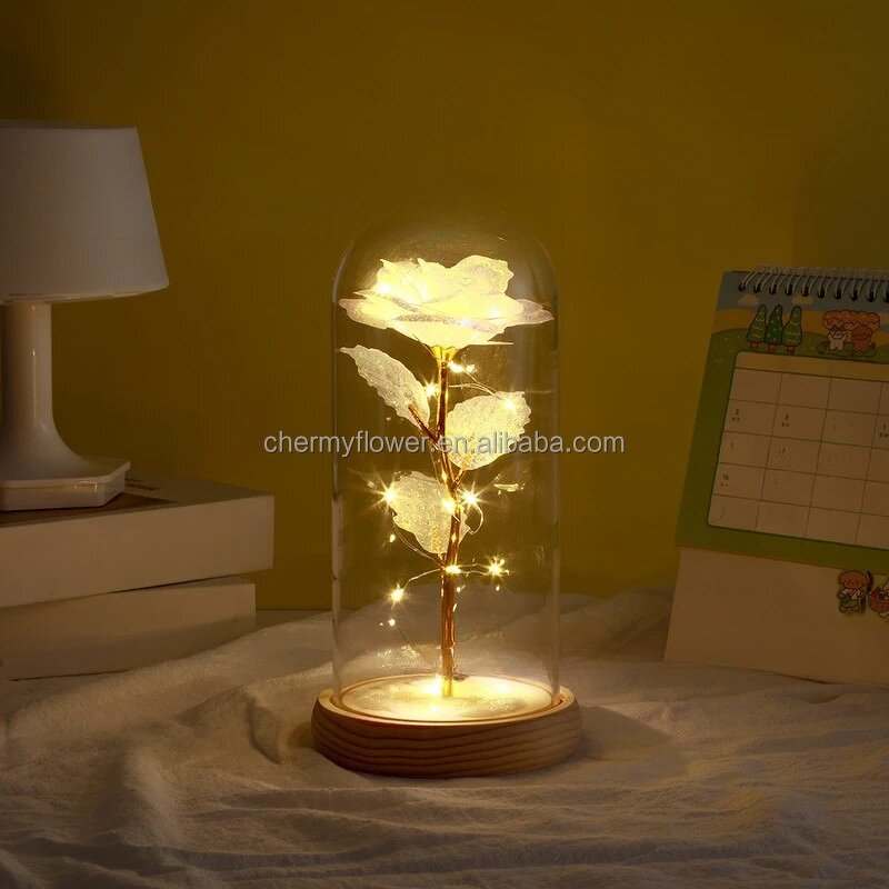 Rose in Glass Dome Manufacturer - Valentine's Day Novelty with Led Light and Gift Box