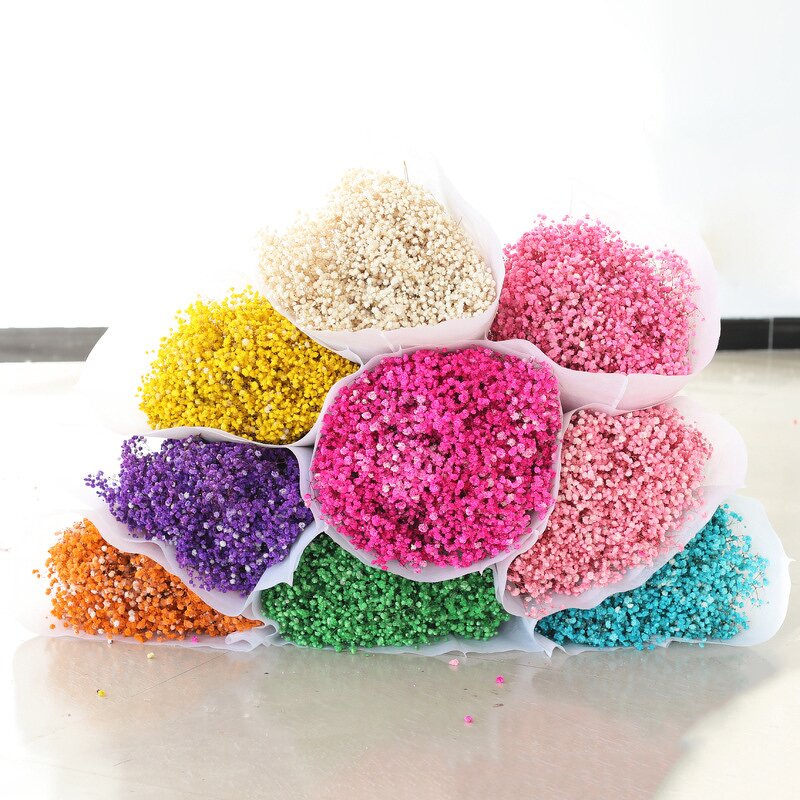 Dried Babysbreath Flower Manufacturer - Preserved Gypsophila for Wedding