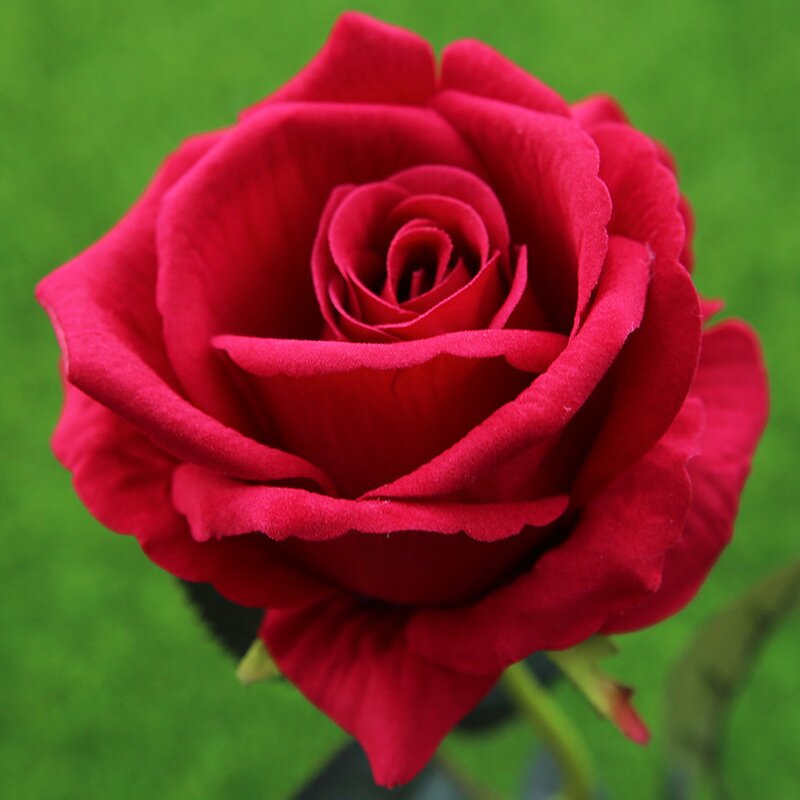 Artificial Velvet Red Roses Manufacturer - FREE SAMPLE Single Branch for Wedding Decoration