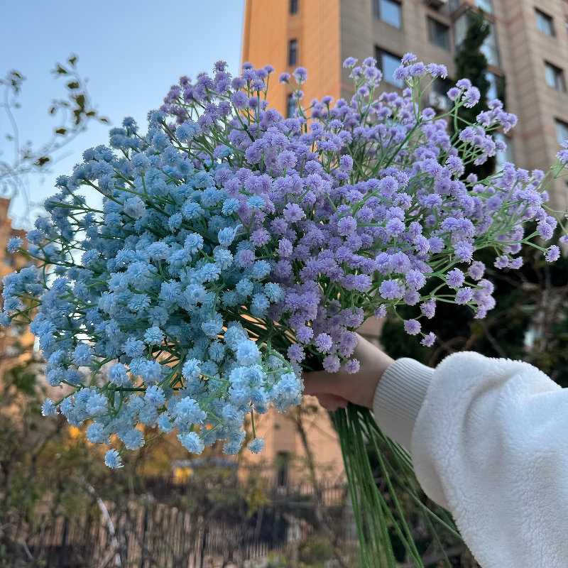 Artificial Baby's Breath Manufacturer - Dalian Chermy Wholesale Best Seller Real Touch Latex White