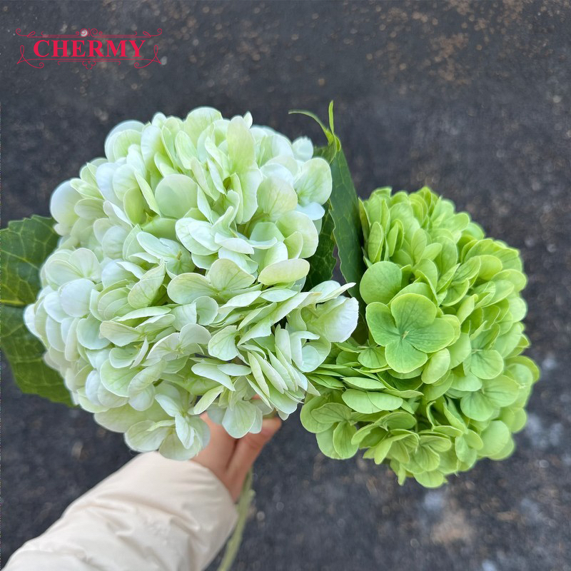 Artificial Hydrangea Manufacturer - Real Touch Dark Green for Home Decor