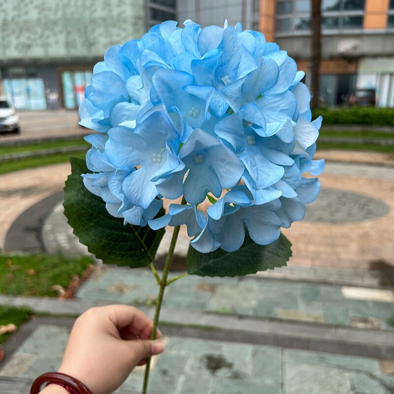 Artificial Hydrangea Manufacturer - Dalian Chermy Wholesale Price Blue for Flower Arrangement