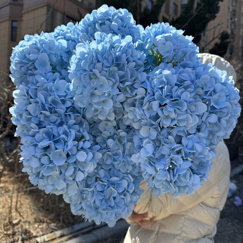 Artificial Hydrangea Manufacturer - Dalian Chermy Silk Realistic Blue for Wedding Decoration