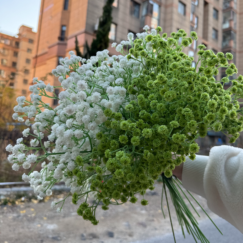 Artificial Baby's Breath Manufacturer - Dalian Chermy Wholesale Best Seller Real Touch Latex White