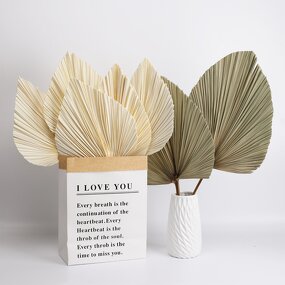 Artificial Dried Palm Leaves Manufacturer - Preserved Leaf for Scene Decoration
