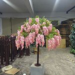 11. Cherry Blossom Tree