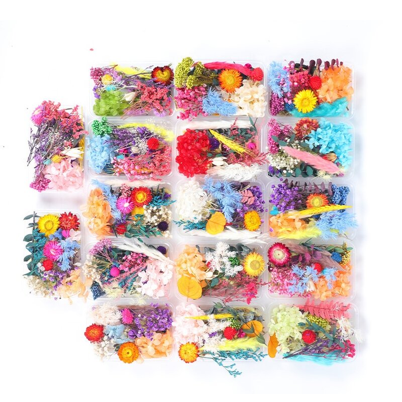 Dried Flower Mix Manufacturer - High Quality Natural for Herbarium Epoxy Resin Candle