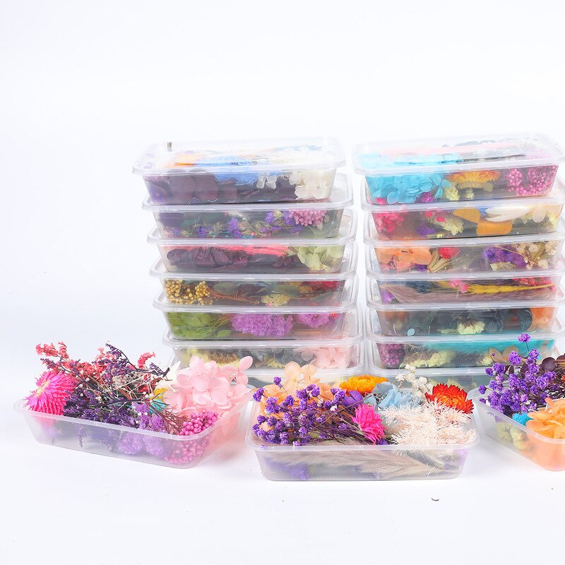 Dried Flower Mix Manufacturer - High Quality Natural for Herbarium Epoxy Resin Candle