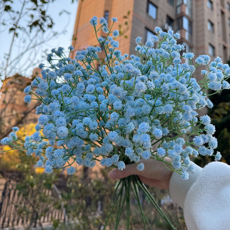 Artificial Gypsophila Flowers Manufacturer - Real Touch Babysbreath Latex Big Head White