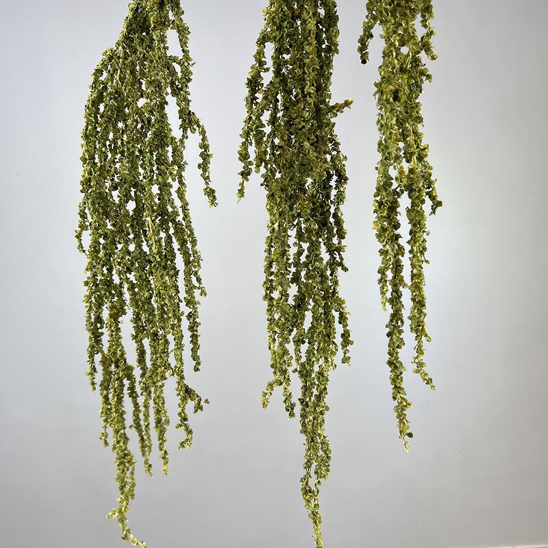 Artificial Hanging Rice Flowers Manufacturer - TH1530 Long Stems White Green Wedding Hang Flower
