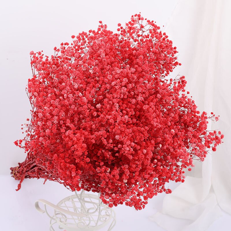 Dried Babysbreath Flower Manufacturer - Preserved Gypsophila for Wedding