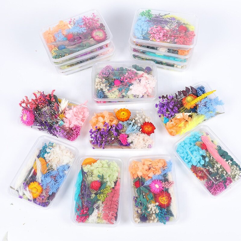 Dried Flower Mix Manufacturer - High Quality Natural for Herbarium Epoxy Resin Candle