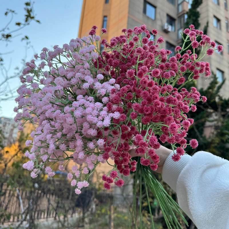 Artificial Baby's Breath Manufacturer - Good Quality Real Touch Latex White for Wedding Arrangement