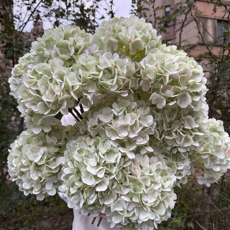 Artificial Hydrangea Manufacturer - 2026 New Large Head Green Silk Wholesale