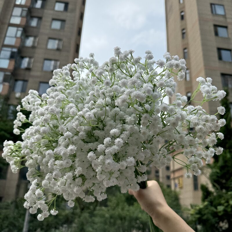 Artificial Gypsophila Flowers Manufacturer - Real Touch Babysbreath Latex Big Head White