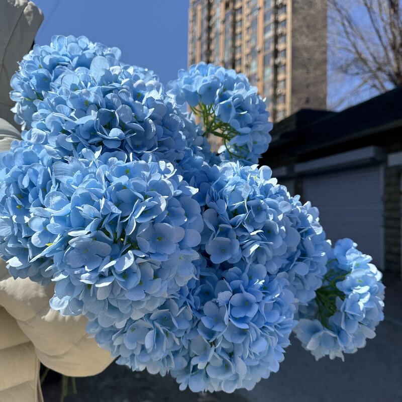 Artificial Hydrangea Manufacturer - Dalian Chermy Silk Realistic Blue for Wedding Decoration
