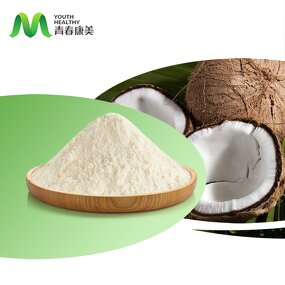 Desiccated Coconut Manufacturer - Best Selling Milk Powder