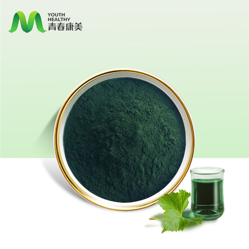 Liquid Chlorophyll Manufacturer - High Standards Food Grade Herb Extract Drum