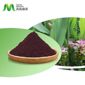 Black Ginger Extract Manufacturer - Youth Organic Kaempferia Parviflora HPLC Drum