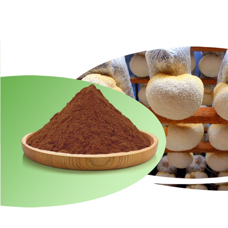 Lions Mane Powder Manufacturer - Factory Supply Organic