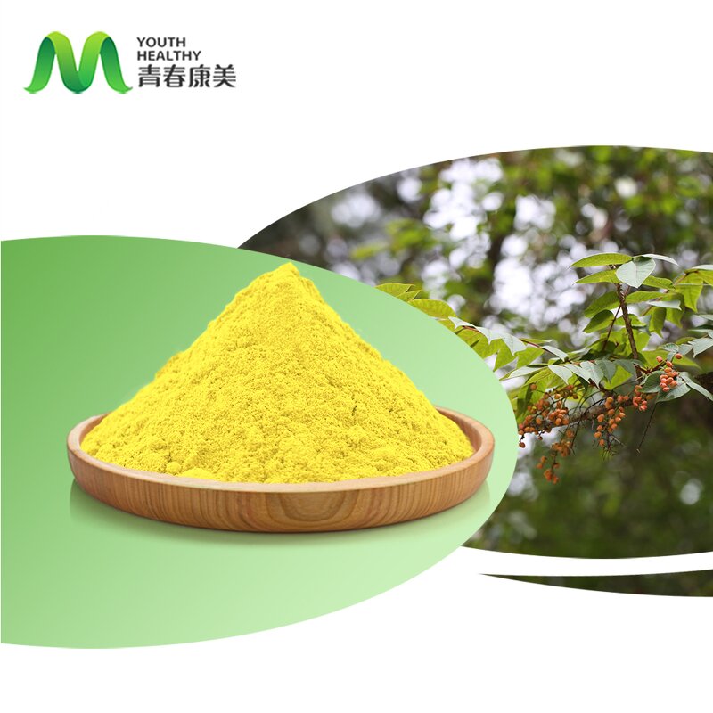 Fisetin Powder Manufacturer - High Quality Food Grade 98%/99% Drum