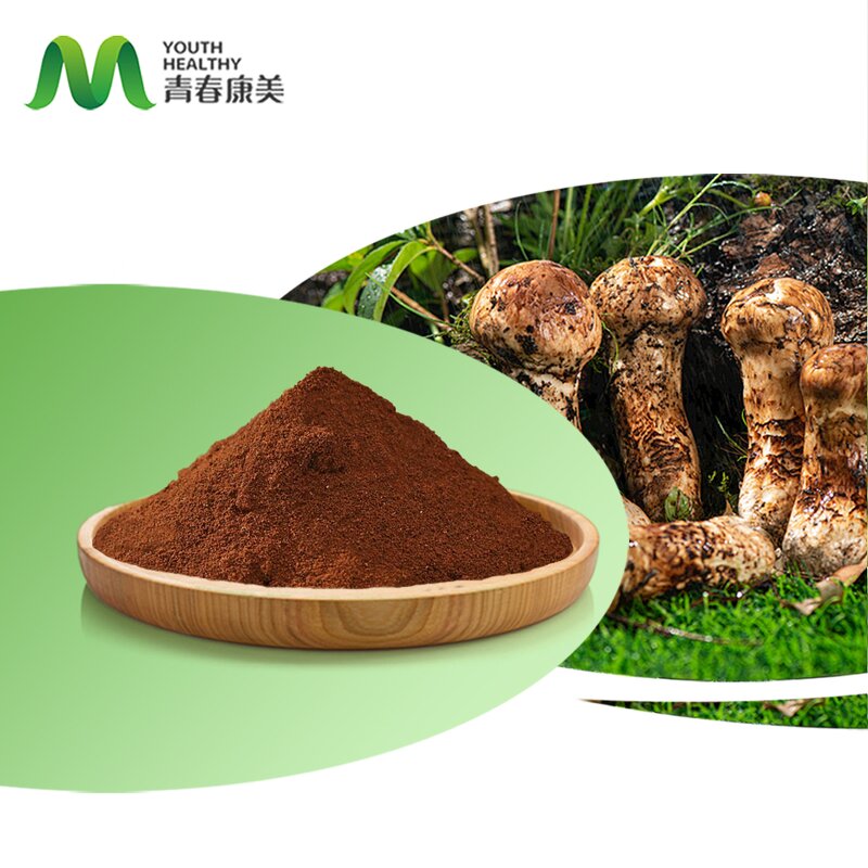 Matsutake Extract Manufacturer - Alcohol Supply Mushroom Extract