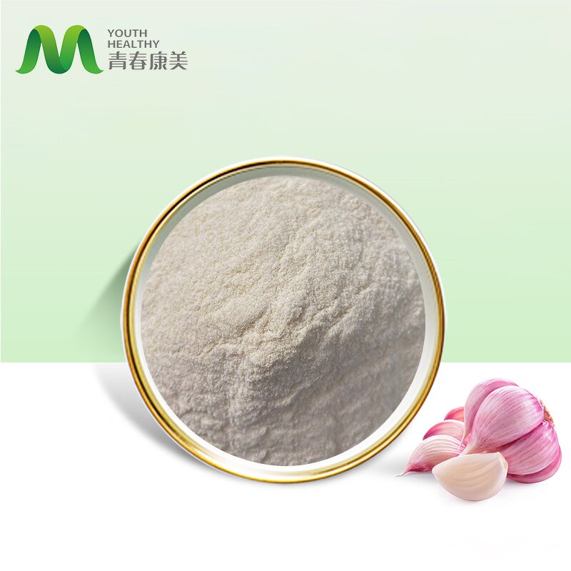 Garlic Powder Manufacturer - Manufacture Supply Organic Bulk