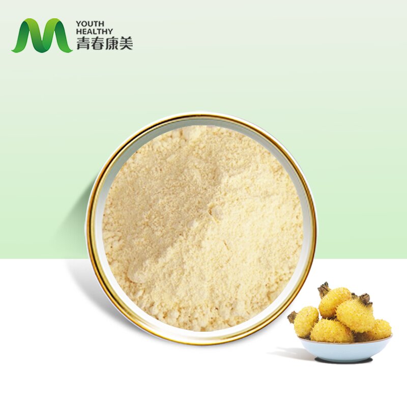 Pickly Pear Extract Manufacturer - SOD Food Grade Quality Control Drum