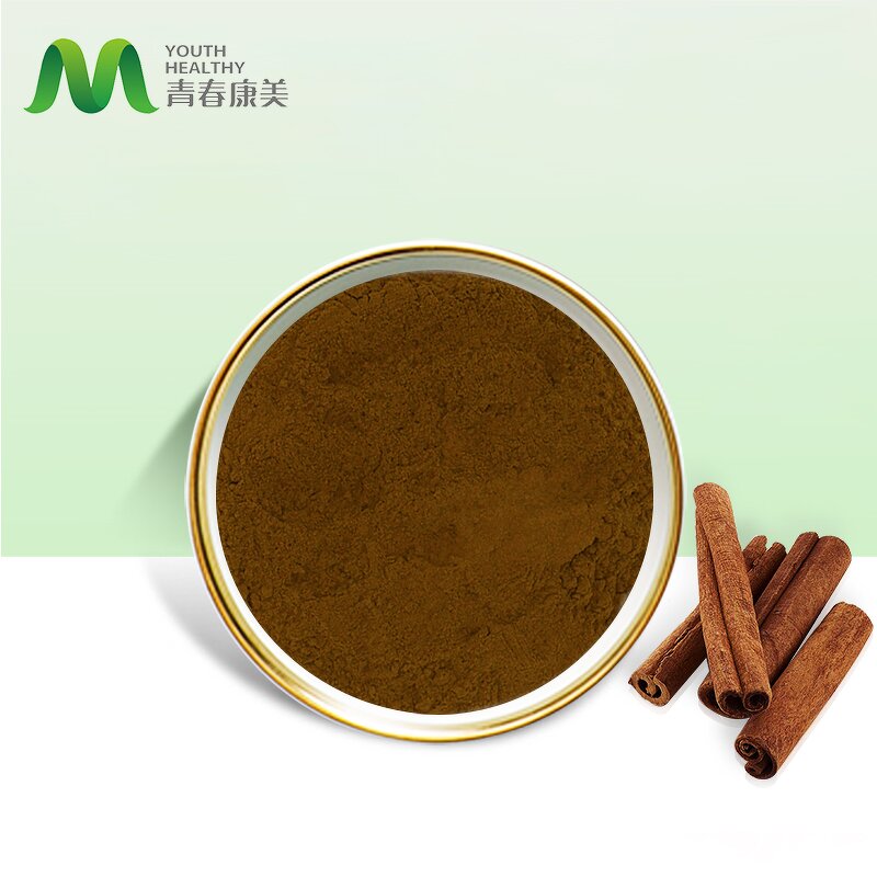 Cinnamon Bark Manufacturer - Halal Organic Dalchini Pure Bulk Powder
