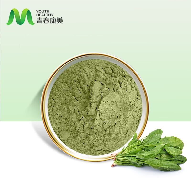Spinach Powder Manufacturer - Fresh Vegetable Food Grade Drum