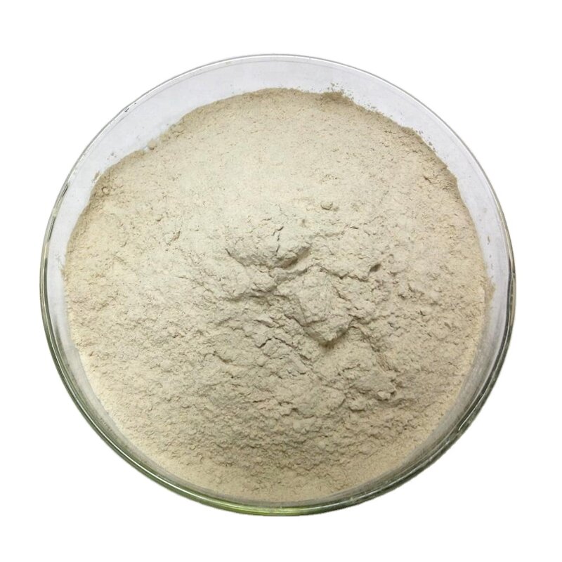 Coix Seed Extract Manufacturer - Factory Supply Healthcare/Food Grade Drum