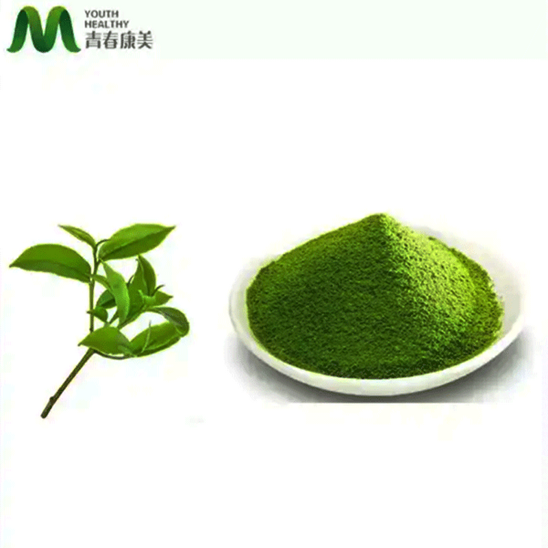 Matcha Powder Manufacturer - OEM Top Grade Halal Private Label Slimming Tea