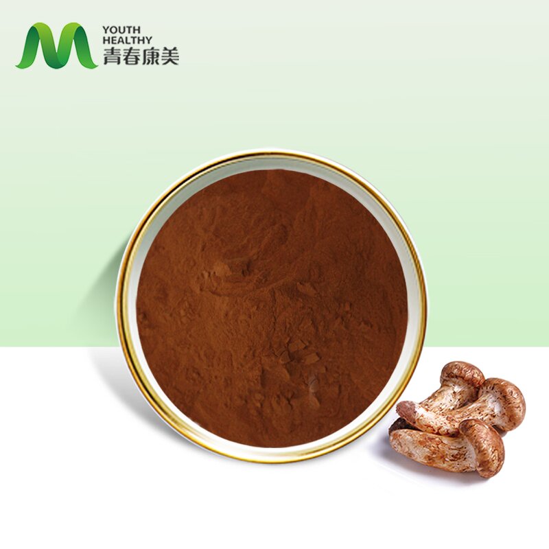 Matsutake Extract Manufacturer - Alcohol Supply Mushroom Extract