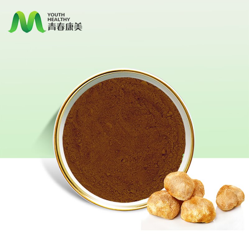 Lions Mane Extract Manufacturer - High Quality Organic Hericium Erinaceus
