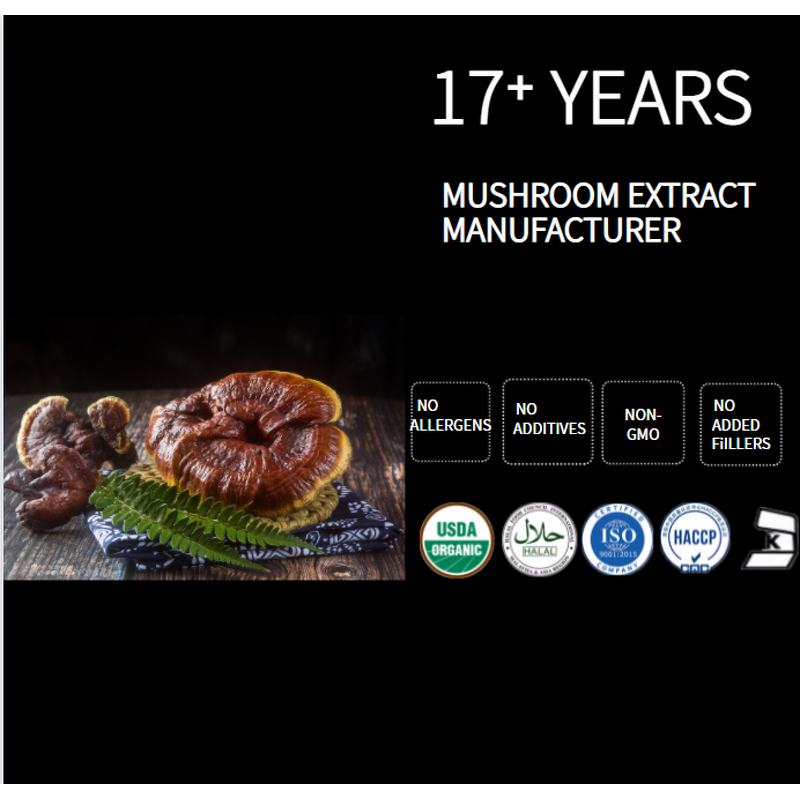 Reishi Mushroom Manufacturer - EU Organic Food Grade Vitamin Supplement Drum