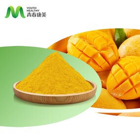 Mango Powder Manufacturer - High Nutritional Freeze Dried Herbal Container & Drum