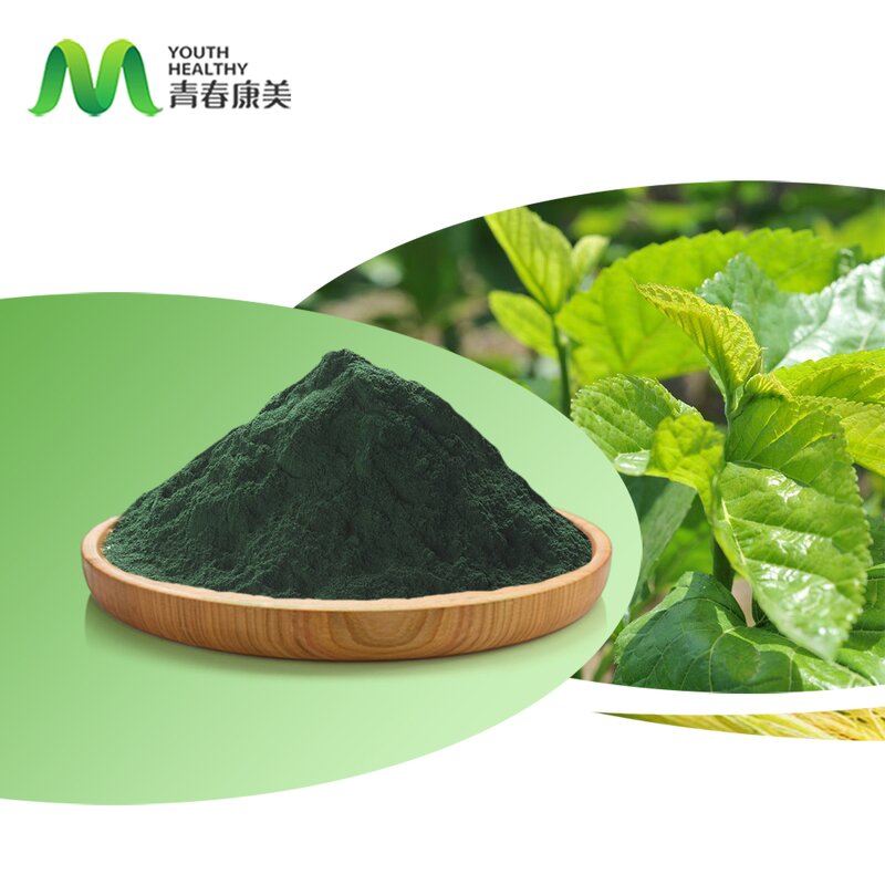 Liquid Chlorophyll Manufacturer - High Standards Food Grade Herb Extract Drum