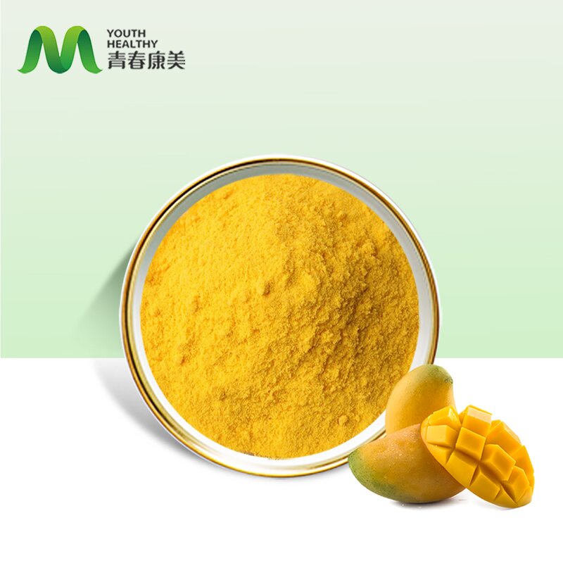 Mango Powder Manufacturer - High Nutritional Freeze Dried Herbal Container & Drum