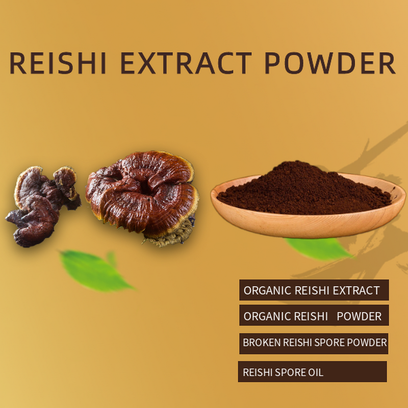 Reishi Mushroom Manufacturer - 100% Food Grade Healthcare Ganoderma Lucidum Drum