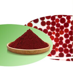 Astaxanthin Manufacturer - Natural Colorant for Fish