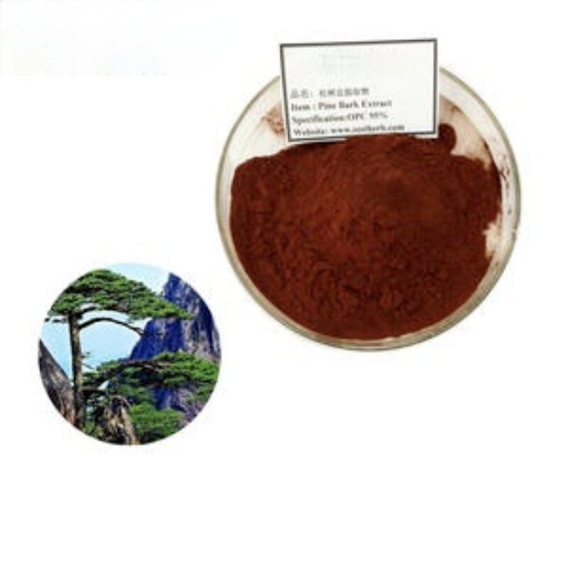 Pine Bark Extract Manufacturer - China EU Organic Wellgreen OPC