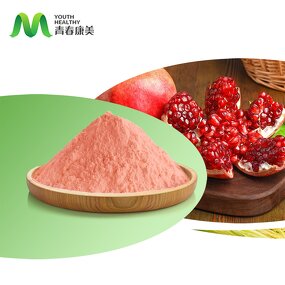 Pomegranate Fruit Manufacturer - 100% Natural Water Soluble Juice Powder