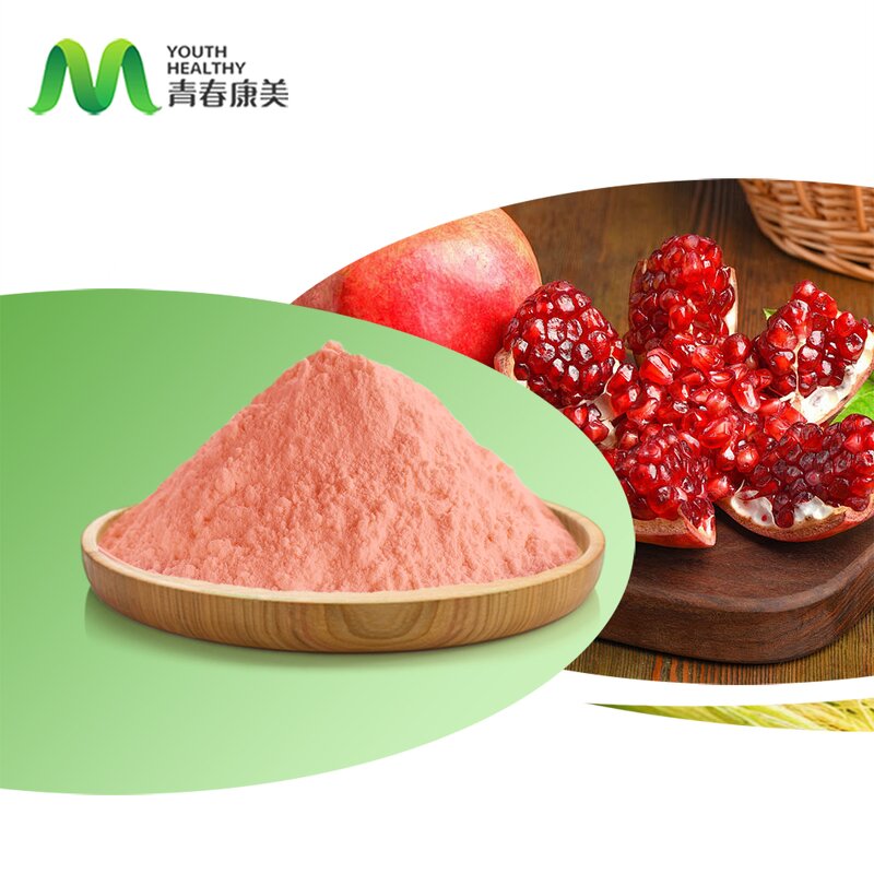 Pomegranate Fruit Manufacturer - 100% Natural Water Soluble Juice Powder