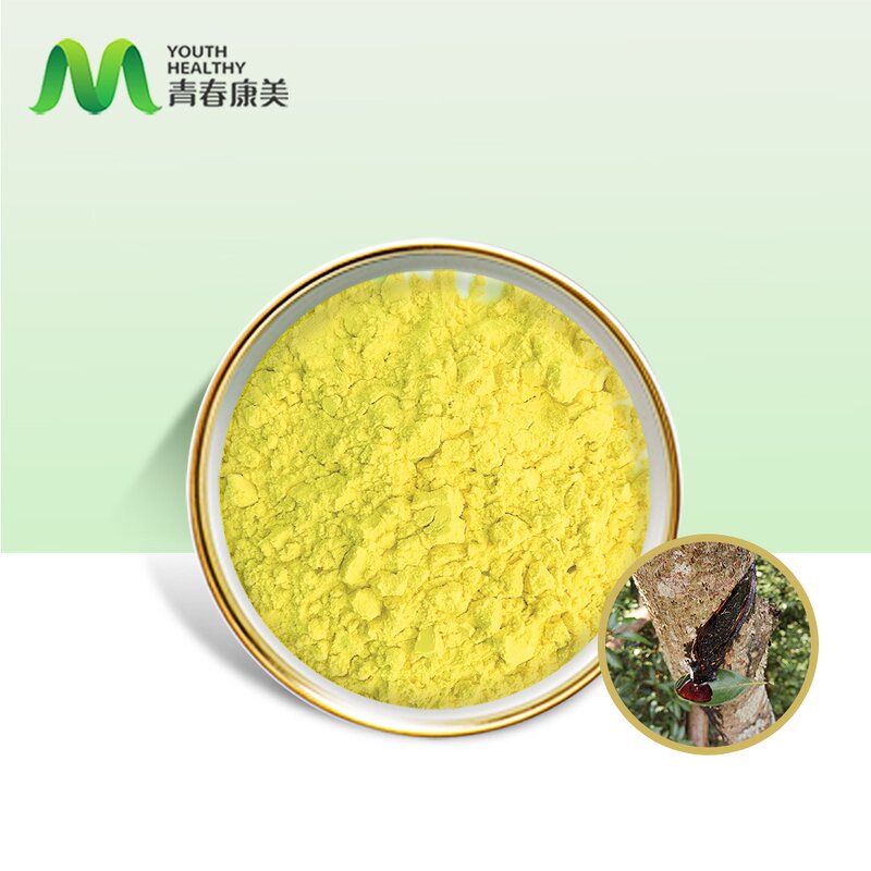 Cotinus Coggygria Manufacturer - Food Grade Organic High Grade Fisetin 98% Drum