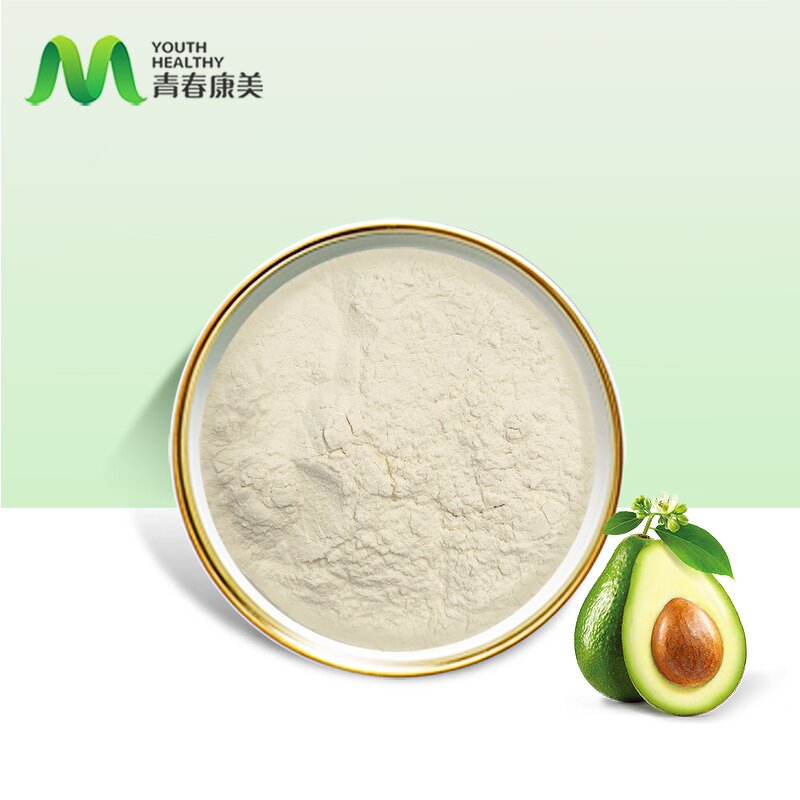 Avocado Powder Manufacturer - ISO Certified Dried Organic