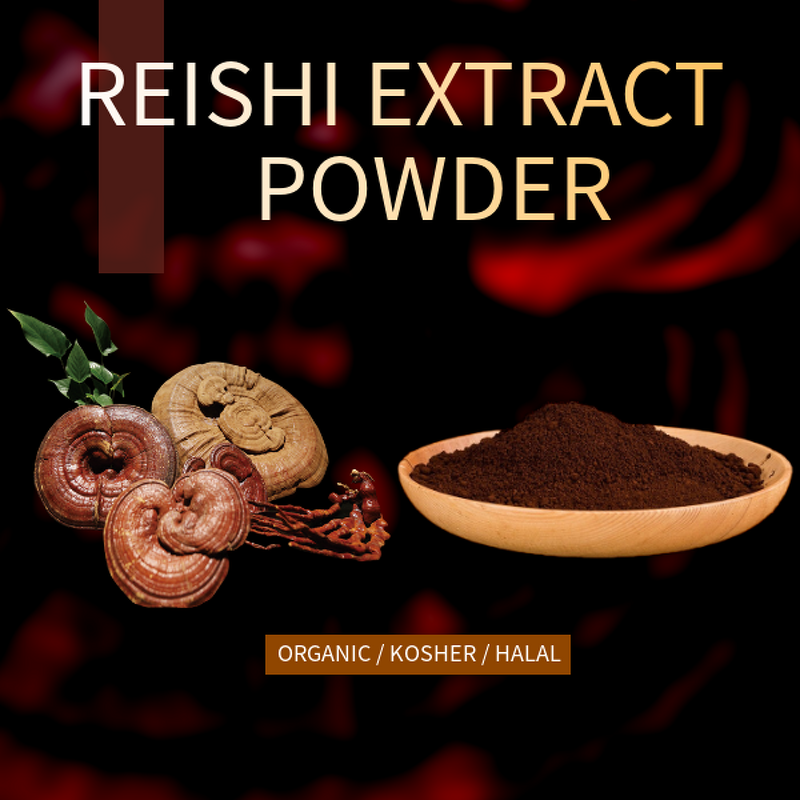 Reishi Mushroom Manufacturer - 100% Food Grade Healthcare Ganoderma Lucidum Drum