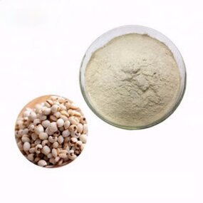 Coix Seed Extract Manufacturer - Factory Supply Healthcare/Food Grade Drum