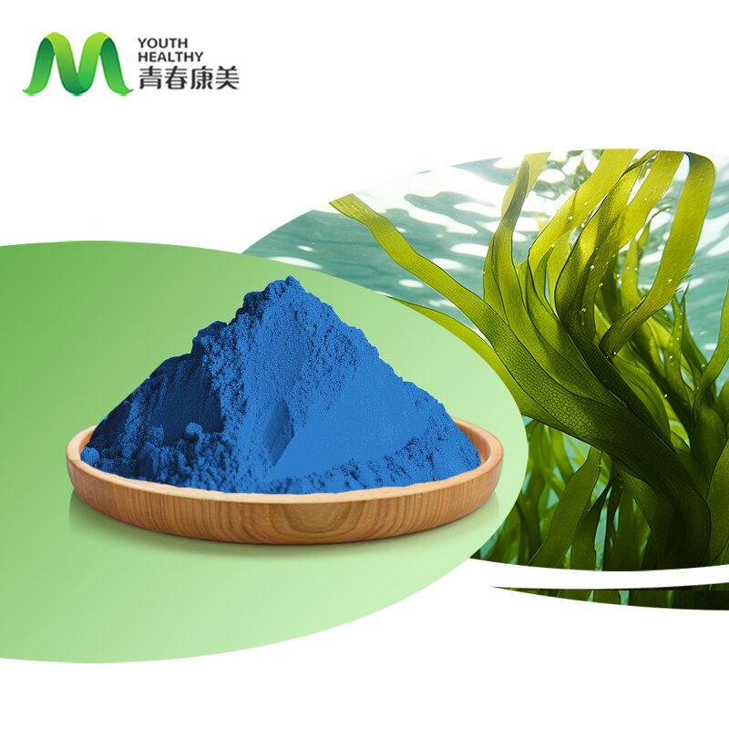 Spirulina Phycocyanin Manufacturer - Food Grade Blue Pigment Drum