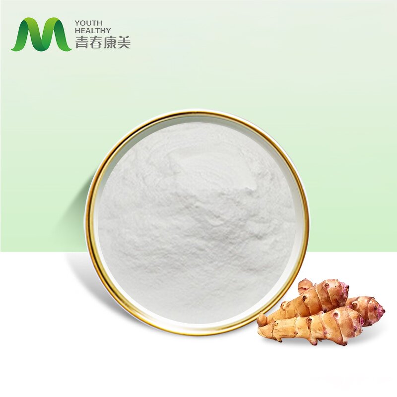 Inulin Powder Manufacturer - Plant Extract Organic Chicory Root